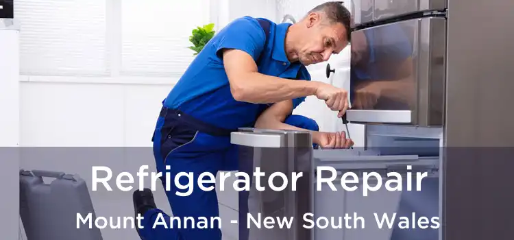 Refrigerator Repair Mount Annan - New South Wales