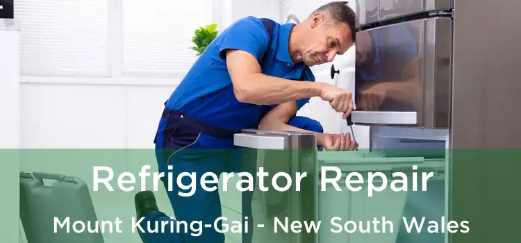 Refrigerator Repair Mount Kuring-Gai - New South Wales