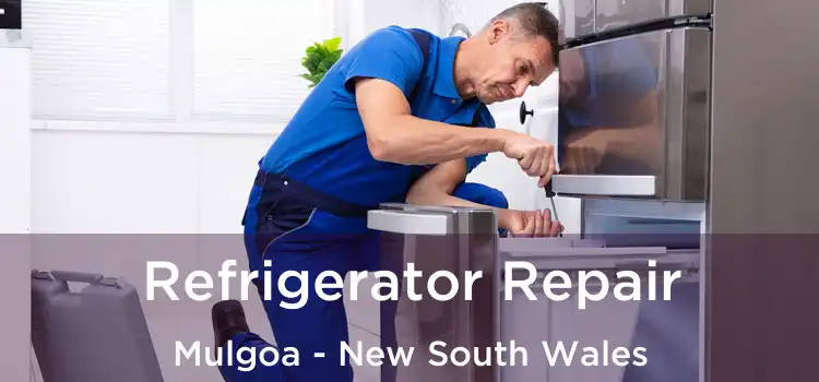 Refrigerator Repair Mulgoa - New South Wales