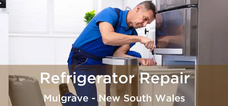 Refrigerator Repair Mulgrave - New South Wales