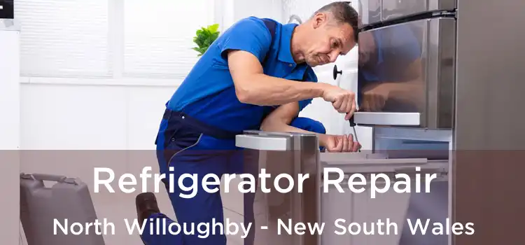 Refrigerator Repair North Willoughby - New South Wales