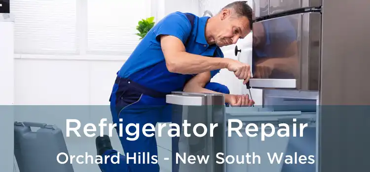 Refrigerator Repair Orchard Hills - New South Wales