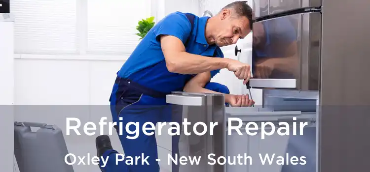 Refrigerator Repair Oxley Park - New South Wales