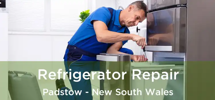 Refrigerator Repair Padstow - New South Wales
