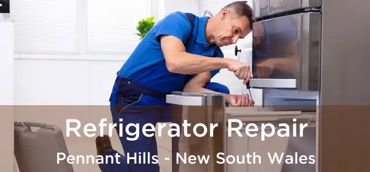 Refrigerator Repair Pennant Hills - New South Wales