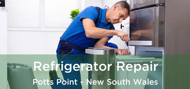 Refrigerator Repair Potts Point - New South Wales