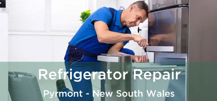 Refrigerator Repair Pyrmont - New South Wales