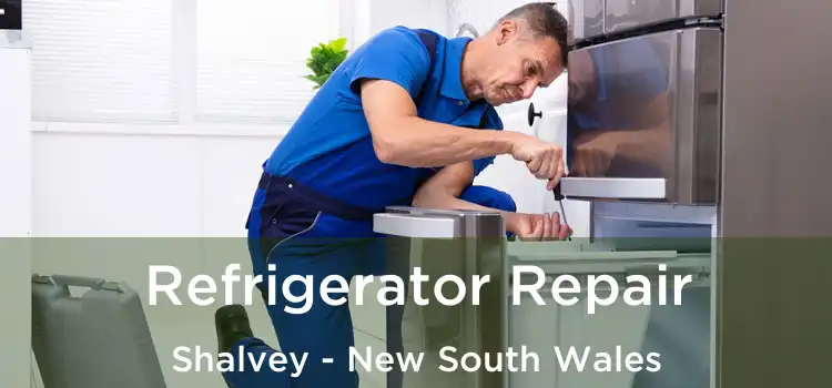 Refrigerator Repair Shalvey - New South Wales