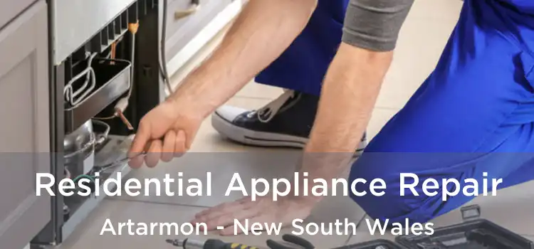 Residential Appliance Repair Artarmon - New South Wales