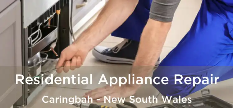 Residential Appliance Repair Caringbah - New South Wales