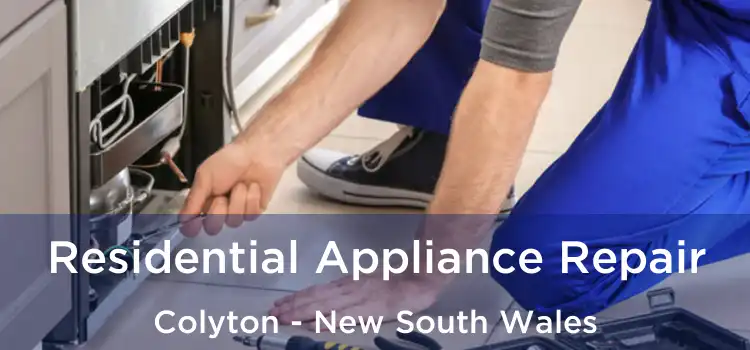 Residential Appliance Repair Colyton - New South Wales
