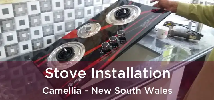 Stove Installation Camellia - New South Wales