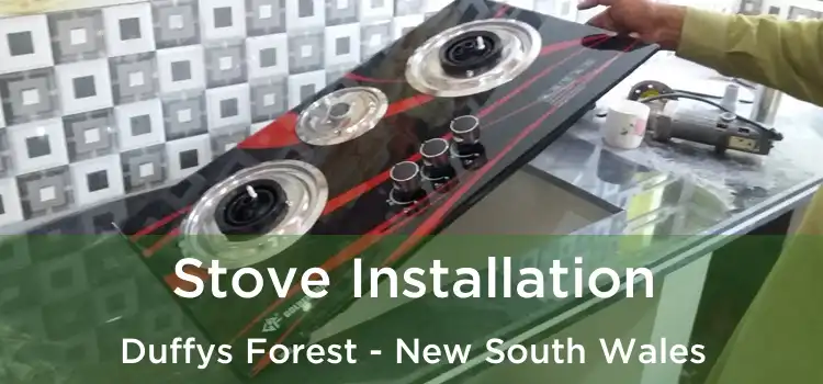 Stove Installation Duffys Forest - New South Wales