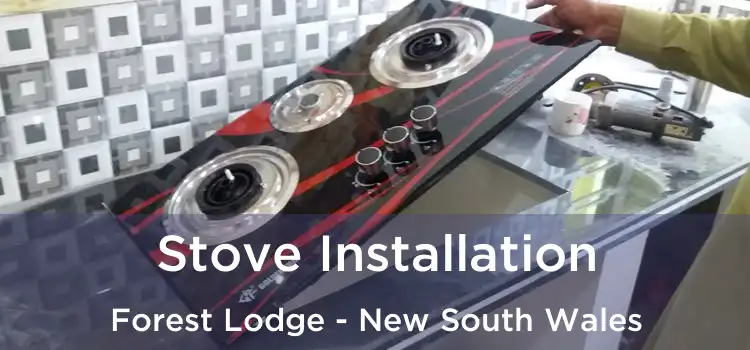 Stove Installation Forest Lodge - New South Wales