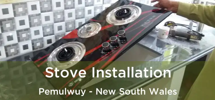 Stove Installation Pemulwuy - New South Wales
