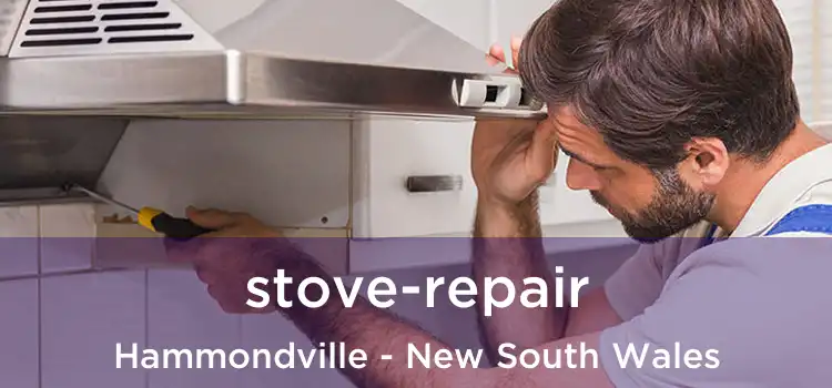 stove-repair Hammondville - New South Wales