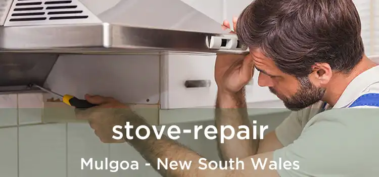 stove-repair Mulgoa - New South Wales