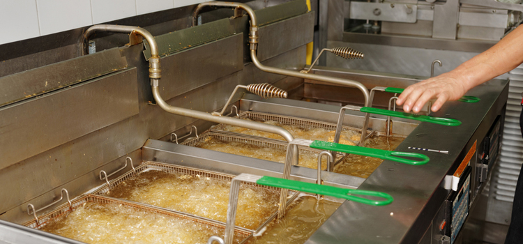 Kitchen Aid Commercial Fryer Repair in Sydney